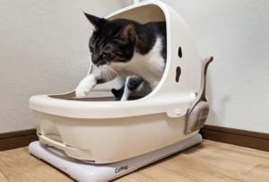 首輪なしで使える「Catlog Board」の利点