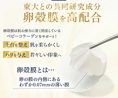 効果の秘密！ブライト卵殻膜エキスの働き