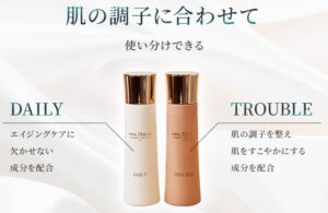 革新的なコンセプト「DAILY/TROUBLE」