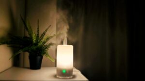 いつ使う?効果的な時間帯とは