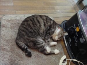 危険な暖房器具と一酸化炭素中毒